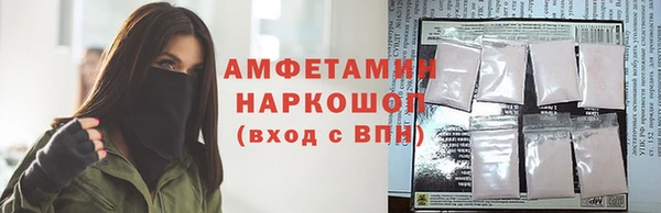 твердый Дмитровск