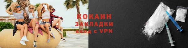 твердый Дмитровск