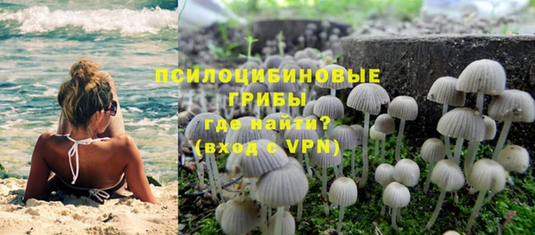 первитин Дмитриев