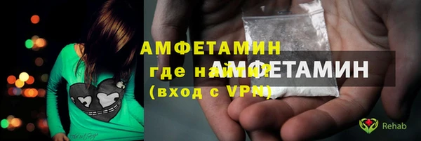 твердый Дмитровск