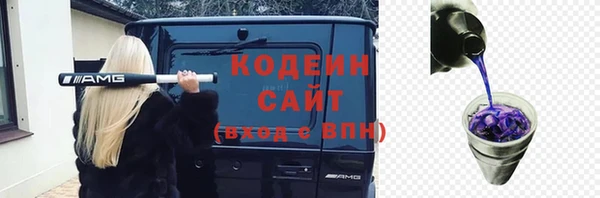 твердый Дмитровск
