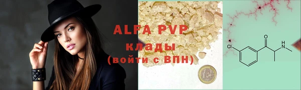СК Елизово