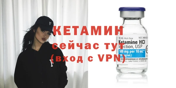 твердый Дмитровск