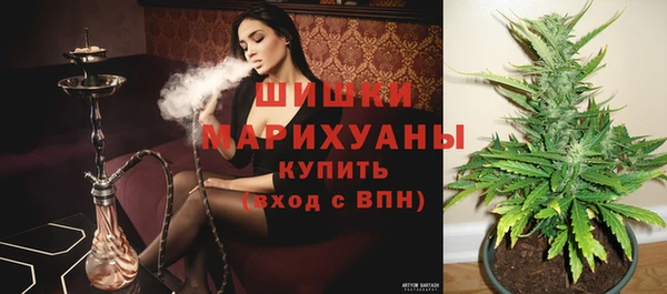 твердый Дмитровск