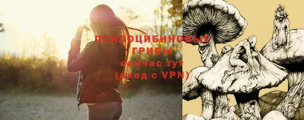 твердый Дмитровск