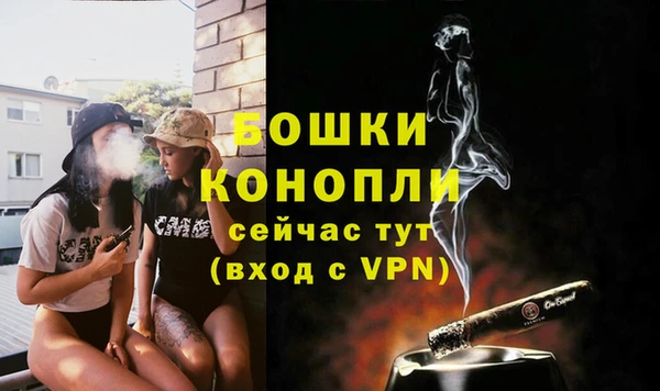 a pvp Ельня