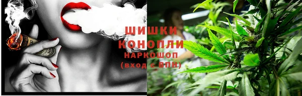 СК Елизово