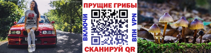darknet как зайти  Сретенск  Галлюциногенные грибы мухоморы 